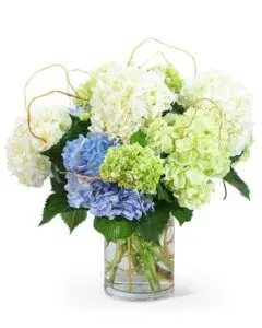 White and blue flowers with leaves in a glass jar