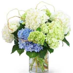 White and blue flowers with leaves in a glass jar