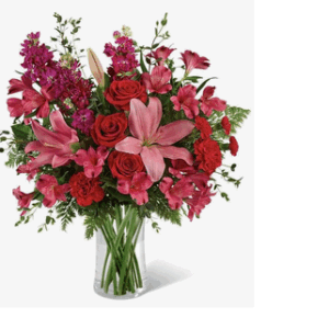 Funky Fuschia